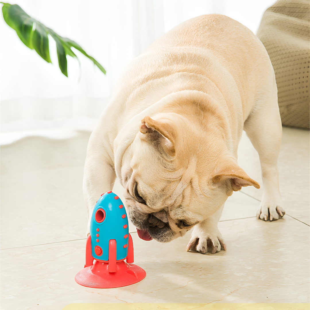 Choosing Perfect Pet Toys For Paws